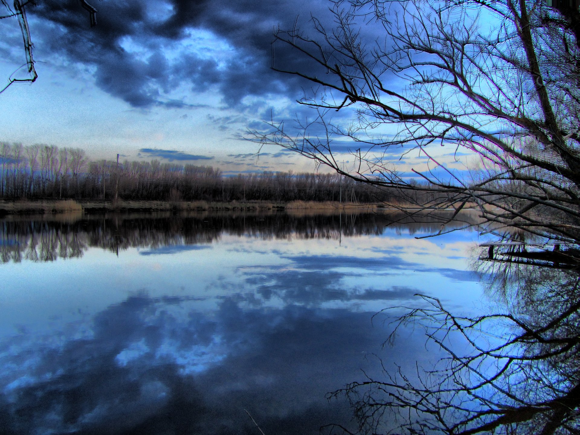 HDR photography captures a tranquil lakeside scene with bare trees reflecting on calm water under a moody blue sky, rendered in stunning 4K Ultra HD clarity.