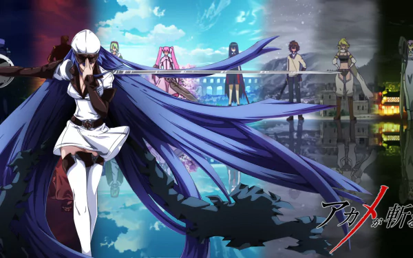 HD desktop wallpaper featuring characters from the anime Akame ga Kill! standing in a dramatic pose against a backdrop of contrasting landscapes.