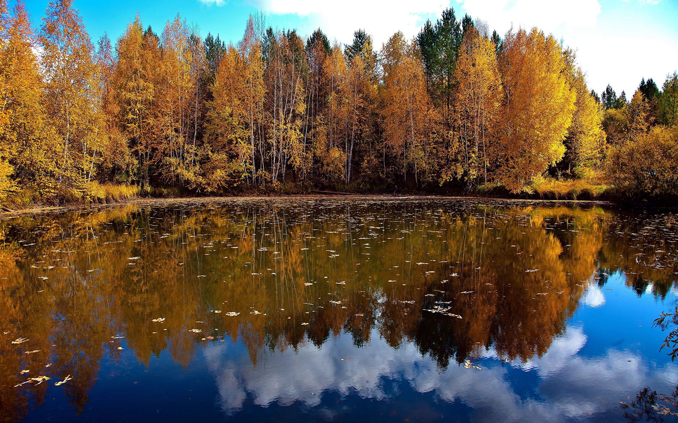 Осенняя вода. Озеро осенью. Осенний пейзаж. Осеннее озеро. Осень лес озеро.