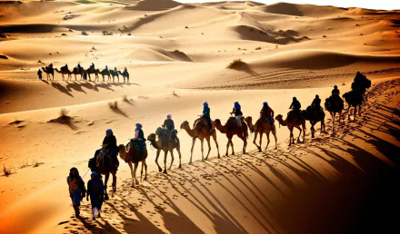 photography caravan HD Desktop Wallpaper | Background Image