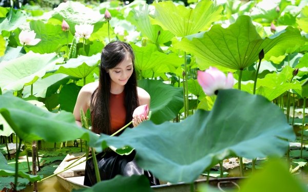 Femmes Asiatique Vietnamese Pond Fleur Lotus Feuille Bateau Smile Sunshine Fond d'écran HD | Image