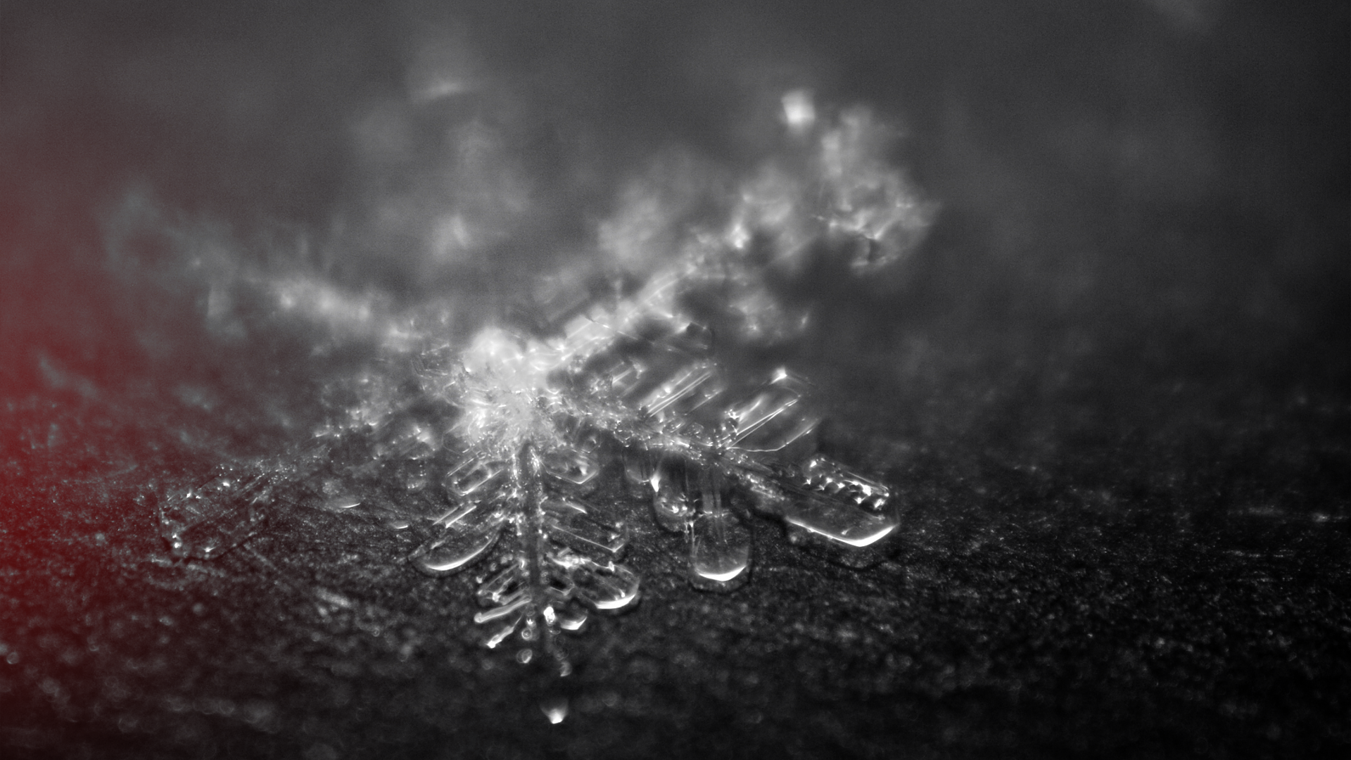 Download Nature Snowflake HD Wallpaper | 1920x1080 | Wallpaper Abyss