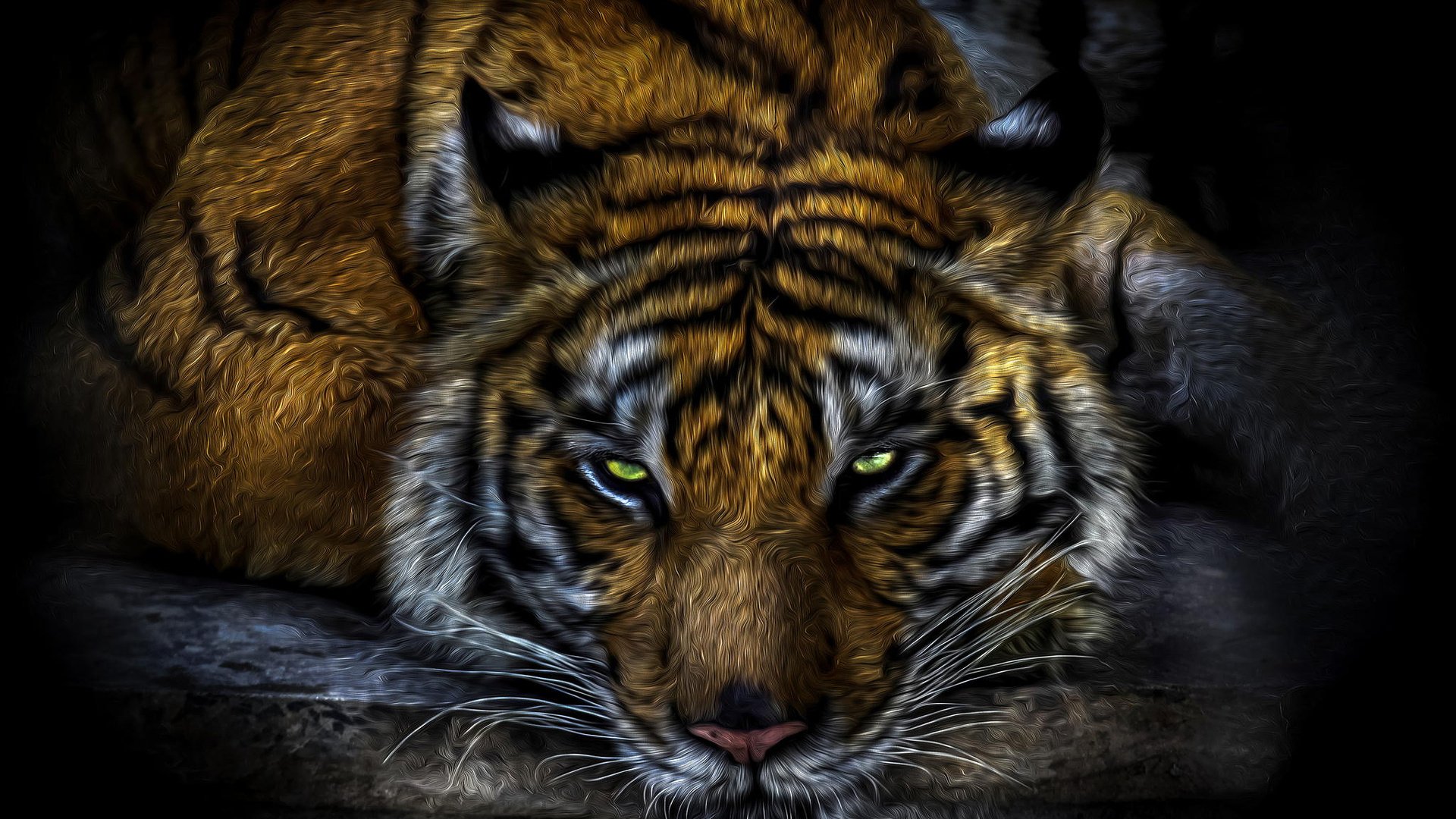 Tiger Full HD Wallpaper and Background Image | 1920x1080 | ID:594399