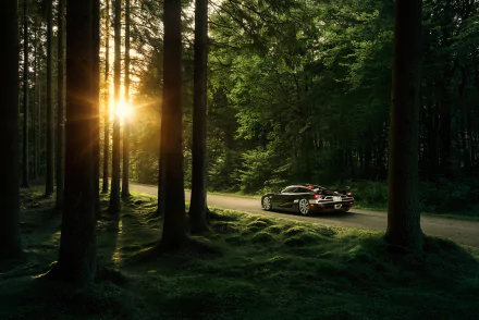 A stunning Koenigsegg CCX parked on a forest road at sunset, surrounded by tall trees, showcasing the vehicle's sleek design in a vibrant natural setting.
