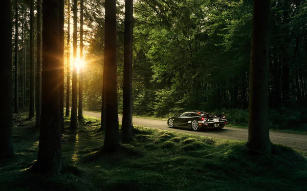 A stunning Koenigsegg CCX parked on a forest road at sunset, surrounded by tall trees, showcasing the vehicle's sleek design in a vibrant natural setting.