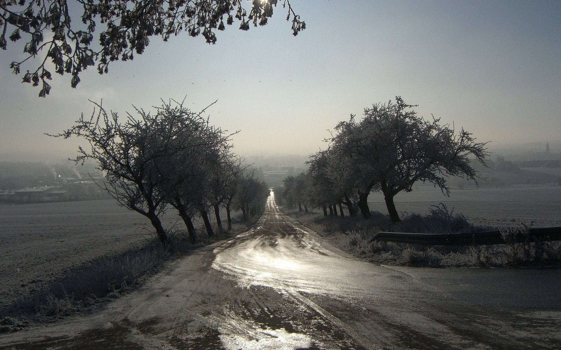 Greyscale HD PC desktop wallpaper: a man-made road glistening with ice, lined by frosted trees and fading into a misty winter landscape.