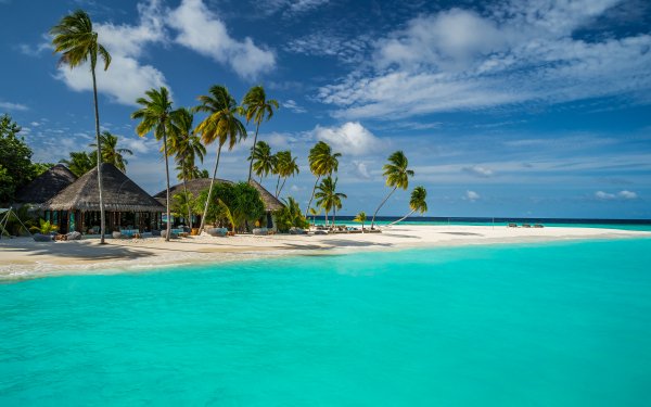 Photography Tropical Constance Halaveli Resort Maldives Tropics Seaside Sea Lagoon Sky Palm Tree Resort HD Wallpaper | Background Image