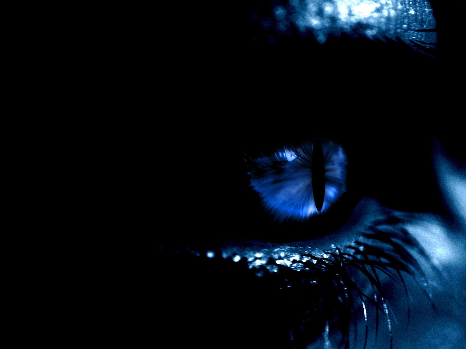 Artistic Blue Eye HD Wallpaper, image size:1600x1200
