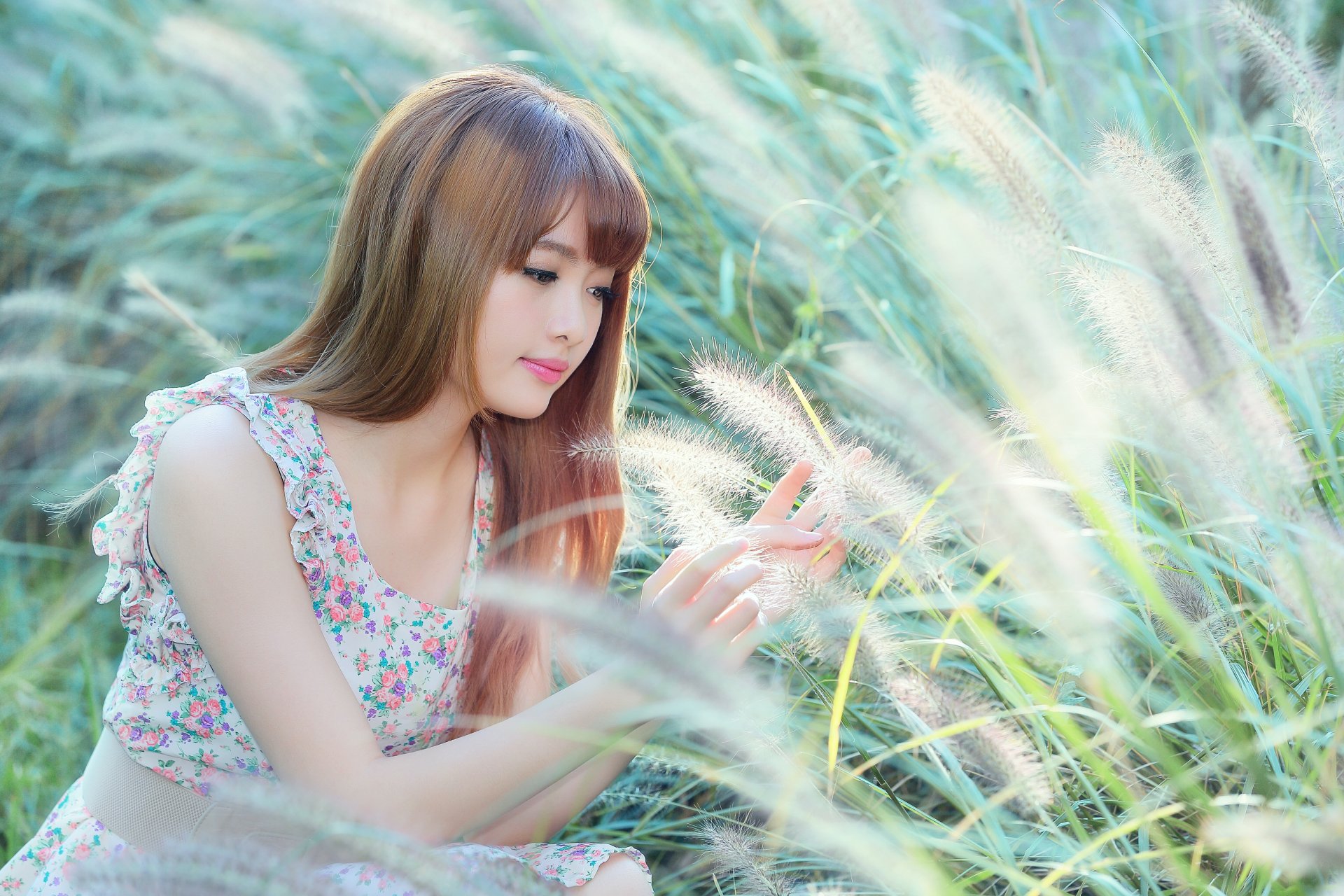 Portrait of a Taiwanese Asian woman in a floral dress among tall grasses with bokeh, captured in 4K Ultra HD as a PC desktop wallpaper by Cubie Wang.
