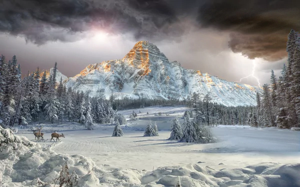 Winter landscape of Mount Chephren in the Canadian Rockies, featuring snow-covered trees, a valley, forest, dramatic clouds, and deer in the foreground.