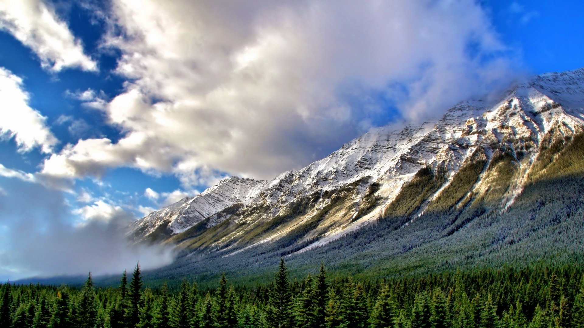 A breathtaking landscape of a mountain range framed by lush green forests under a dramatic sky filled with clouds. This HD image captures the beauty of nature beautifully.