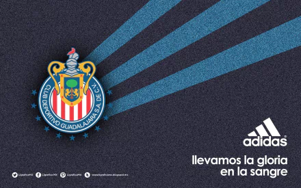 HD wallpaper featuring the Club Deportivo Guadalajara logo, with Adidas branding and dynamic blue stripes, capturing a sporty, man-made aesthetic.