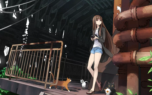 A brown-eyed, long-haired anime girl stands in a ruined structure with multiple cats. This HD desktop wallpaper captures a serene, mysterious atmosphere amidst decaying surroundings.