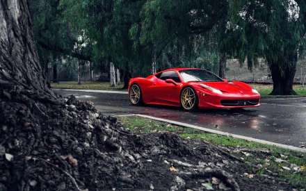 Red Ferrari 458 Italia supercar parked on a wet road surrounded by green trees, captured in a high-resolution 4K Ultra HD desktop wallpaper image.