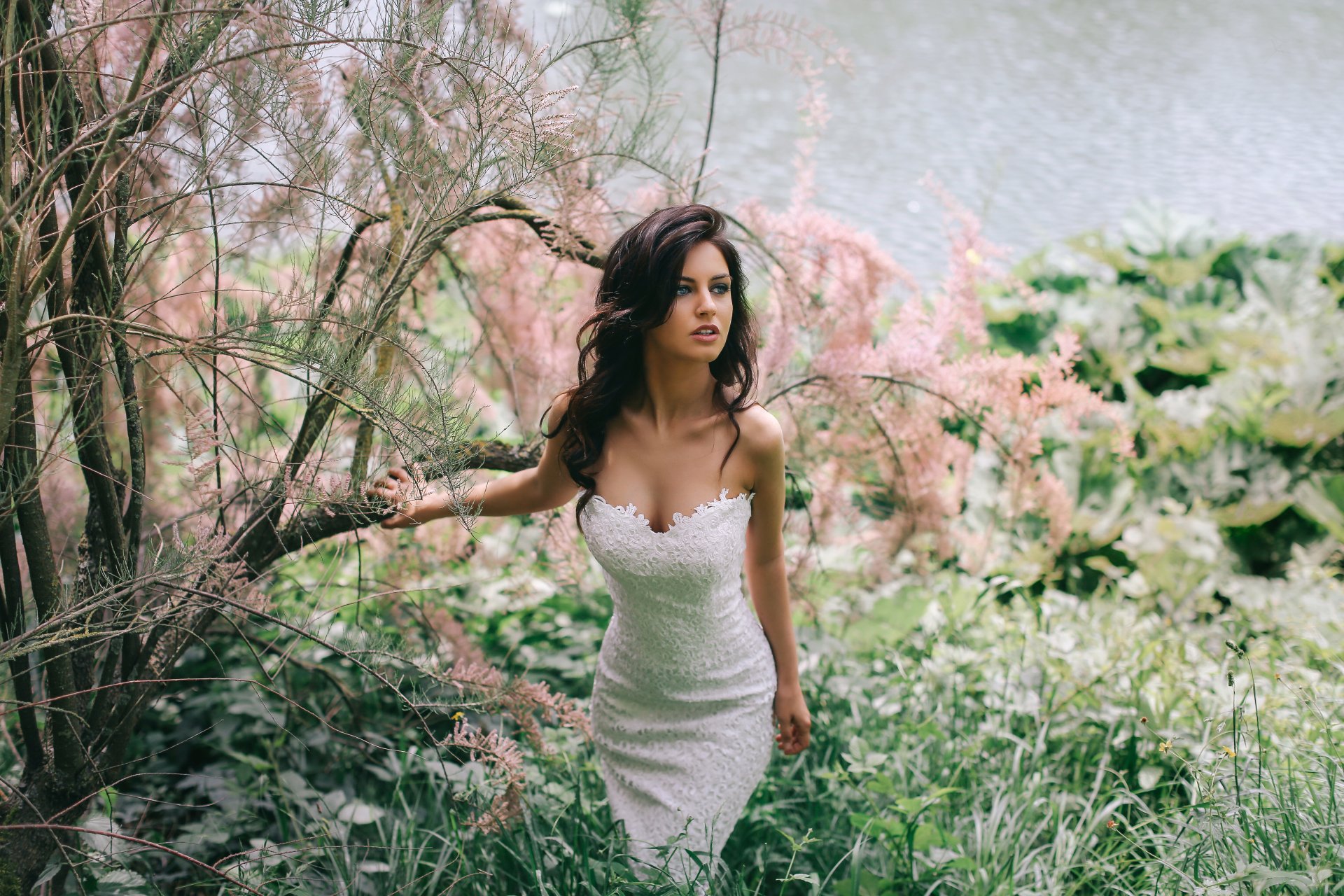 A brunette bride in a white dress stands amidst lush spring foliage, with soft pink blossoms in the background. HD desktop wallpaper and background image.