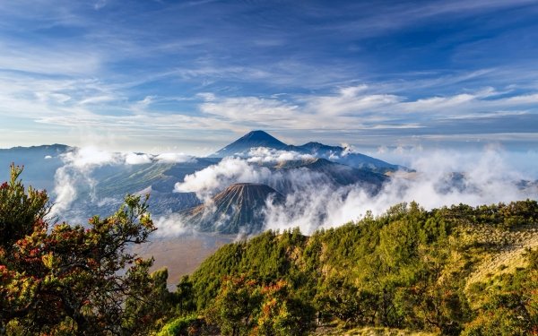 Earth Mount Bromo Volcanoes Volcano Stratovolcano Indonesia Java Landscape HD Wallpaper | Background Image