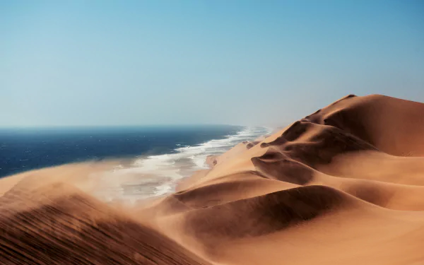  Namib vs Ocean by Pietro Olivetta