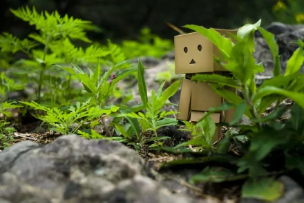 HD PC desktop wallpaper featuring a Danbo figure standing among green plants and rocks in a natural outdoor setting.