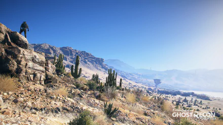 A breathtaking HD wallpaper from Tom Clancy’s Ghost Recon Wildlands, showcasing a lone figure atop a rocky outcrop, overlooking a vast desert landscape dotted with cacti.