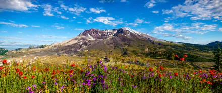 nature Mount St. Helens HD Desktop Wallpaper | Background Image