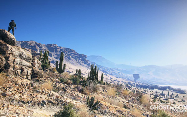 A breathtaking HD wallpaper from Tom Clancy’s Ghost Recon Wildlands, showcasing a lone figure atop a rocky outcrop, overlooking a vast desert landscape dotted with cacti.
