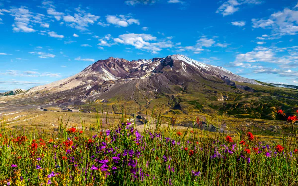 nature Mount St. Helens HD Desktop Wallpaper | Background Image