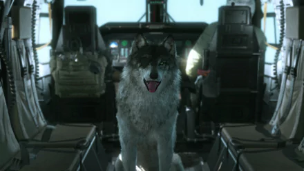 D-Dog (Metal Gear Solid) Metal Gear Solid video game Metal Gear Solid V: The Phantom Pain HD Desktop Wallpaper | Background Image