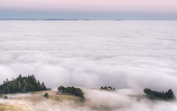 A breathtaking landscape featuring a serene sea of clouds enveloping lush greenery, inviting a sense of tranquility and the beauty of nature. HD desktop wallpaper displaying fog-draped vistas.