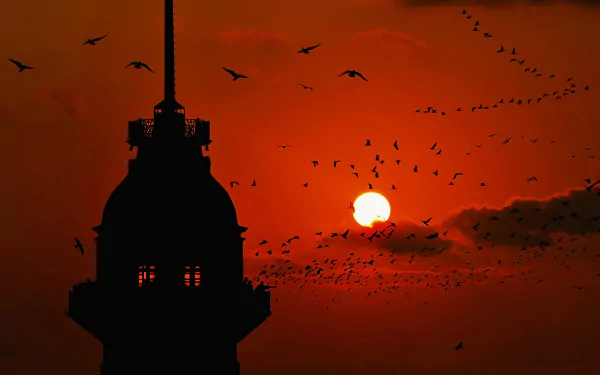 man made Istanbul HD Desktop Wallpaper | Background Image