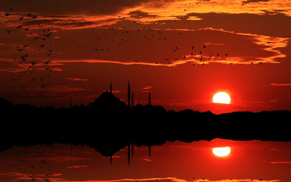 A stunning HD wallpaper of Istanbul at sunset, showcasing silhouettes of minarets against a vibrant orange sky, mirrored in tranquil waters with birds flying across the horizon.