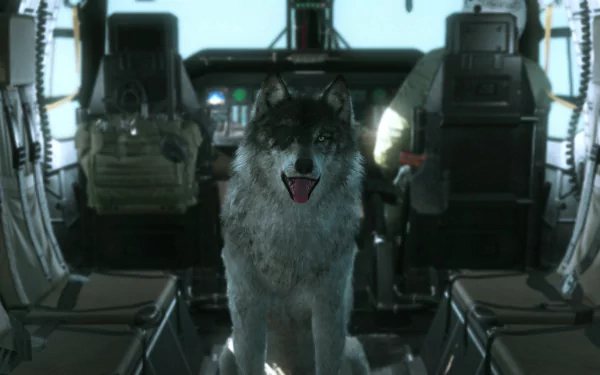 HD PC desktop wallpaper featuring D-Dog from Metal Gear Solid V: The Phantom Pain inside a military aircraft, capturing a detailed moment from the Metal Gear Solid video game series.