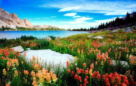 HD wallpaper featuring a vibrant landscape with a lake, surrounded by mountains and a colorful field of wildflowers under a blue sky.