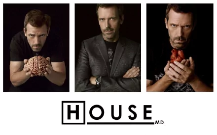Gregory House Hugh Laurie TV Show house HD Desktop Wallpaper | Background Image