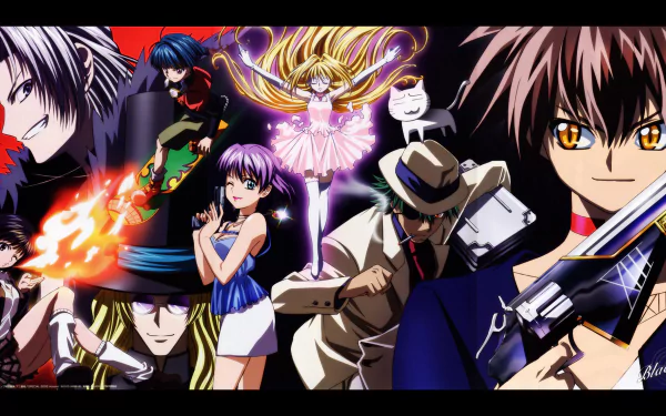 Anime Black Cat (Anime) HD Desktop Wallpaper | Background Image