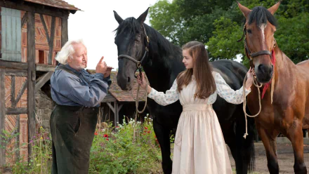 movie War Horse HD Desktop Wallpaper | Background Image