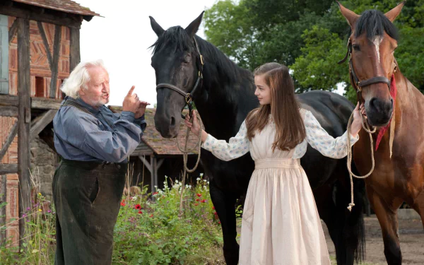 movie War Horse HD Desktop Wallpaper | Background Image