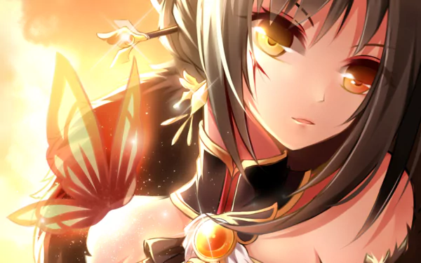 HD desktop wallpaper featuring Ara from the video game Elsword, showcasing a detailed, vibrant illustration with warm tones and a butterfly motif.