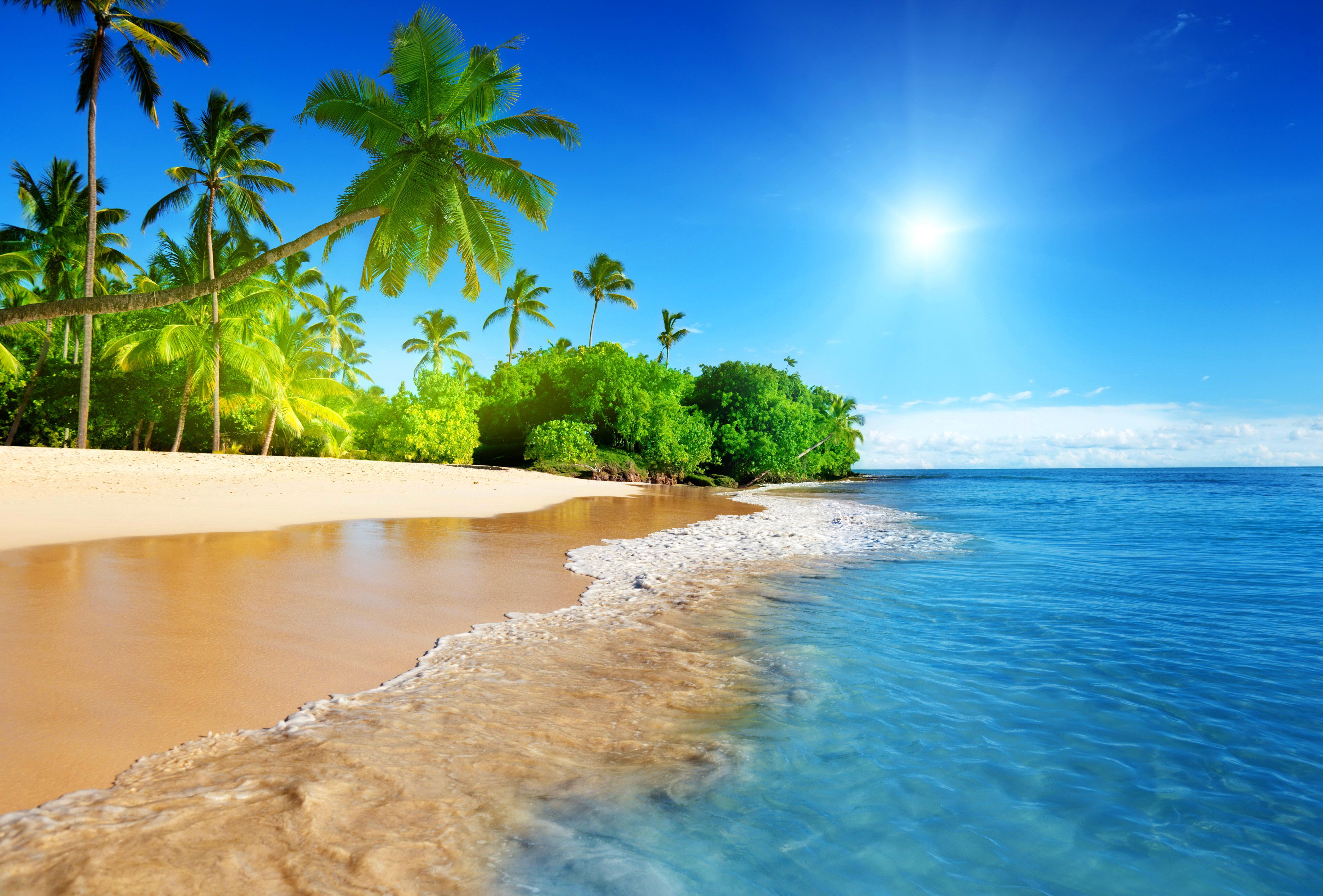 Earth Tropical HD Wallpaper | Background Image