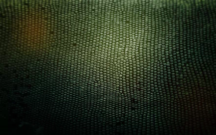 Abstract texture HD Desktop Wallpaper | Background Image