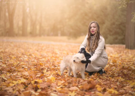 Blonde woman wearing lipstick poses with a dog in a sunlit, leaf-covered park during fall, captured in HD for a PC desktop wallpaper and background.