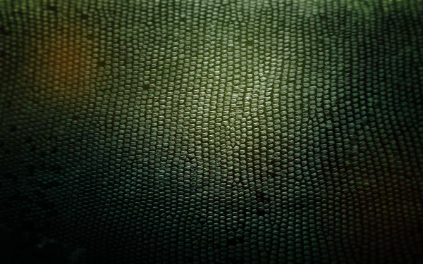 Abstract texture HD Desktop Wallpaper | Background Image