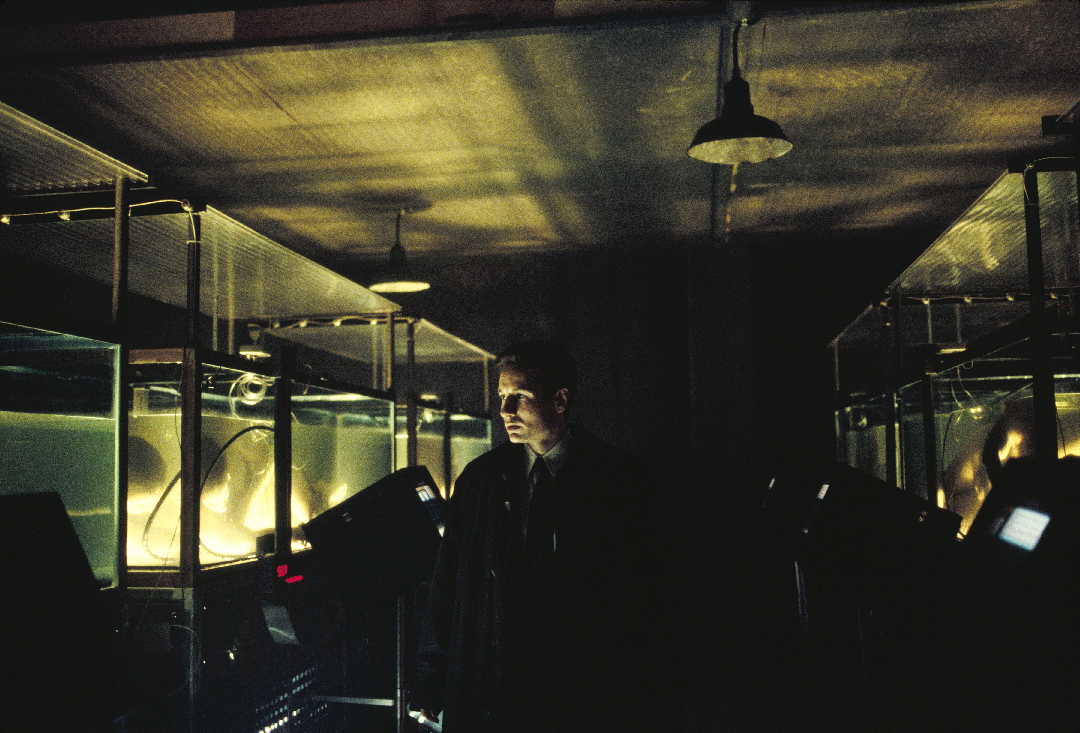 TV Show The X-Files HD Wallpaper | Background Image
