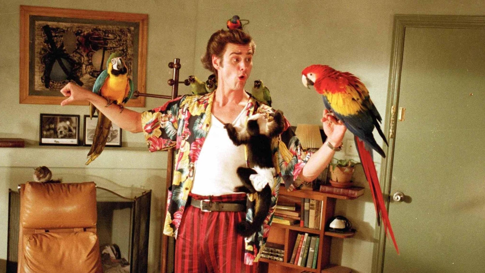 Movie Ace Ventura: Pet Detective HD Wallpaper | Background Image