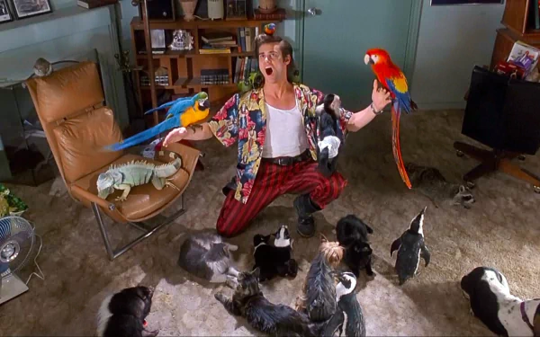 movie Ace Ventura: Pet Detective HD Desktop Wallpaper | Background Image