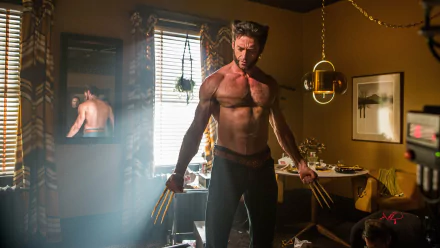 Logan James Howlett Wolverine movie X-Men: Days of Future Past HD Desktop Wallpaper | Background Image