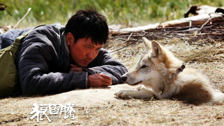movie Wolf Totem HD Desktop Wallpaper | Background Image