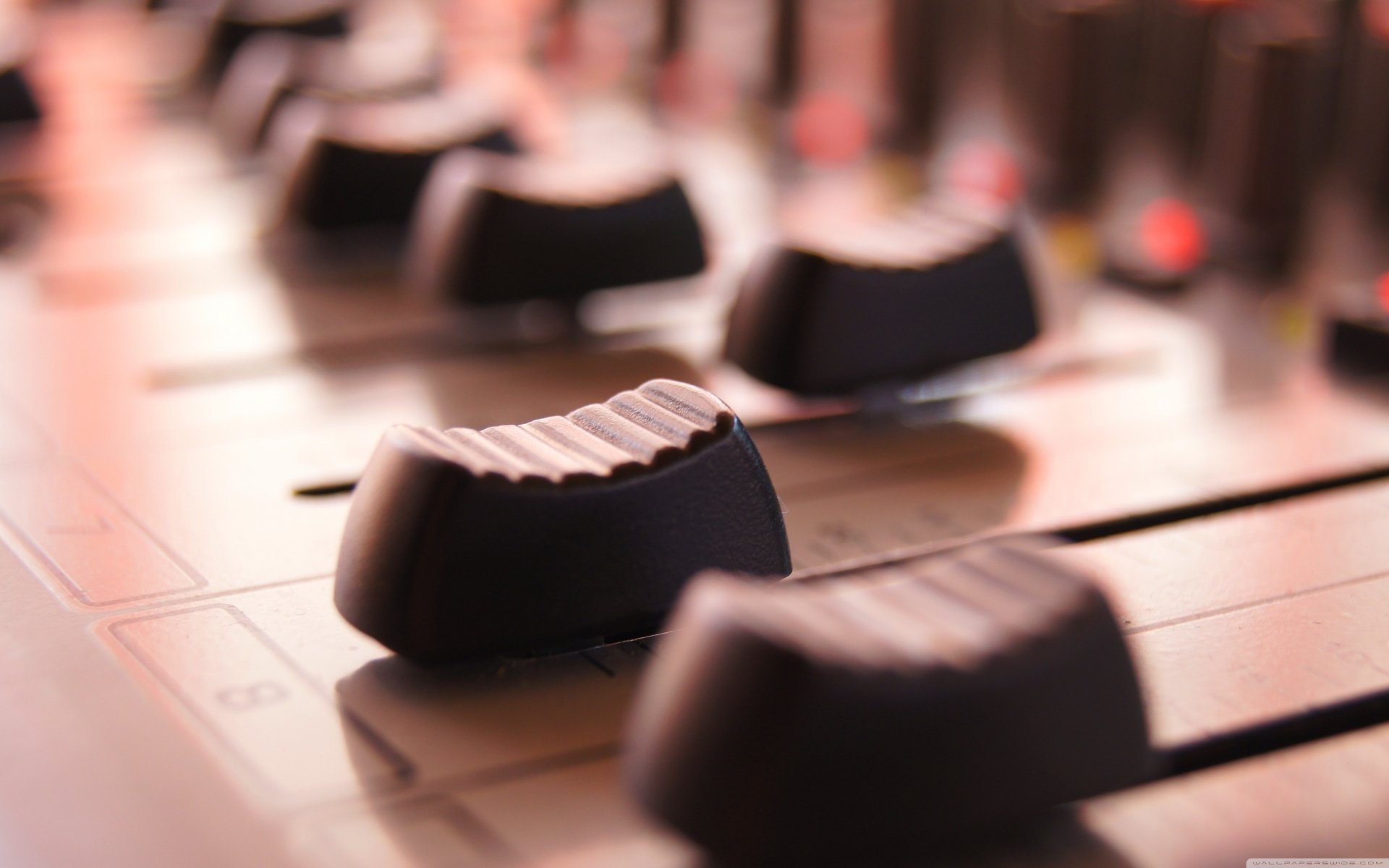 Download Photography Close-up 4k Ultra HD Wallpaper