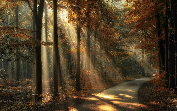 Earth Sunbeam HD Wallpaper | Background Image