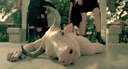 TV Show American Horror Story HD Desktop Wallpaper | Background Image