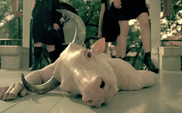 TV Show American Horror Story HD Desktop Wallpaper | Background Image